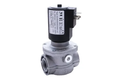 AE-ASLXGSVNC - Automatic Gas Valve