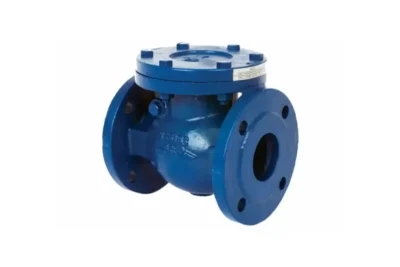 AE-170 - Cast Iron Swing Check Valve
