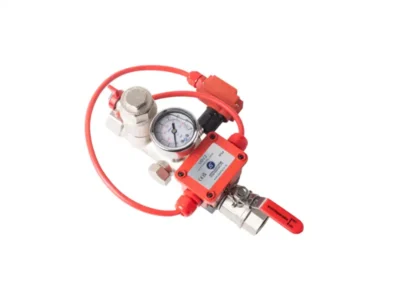 AE VS-A-M2 - Monitored Dual Port Fire Sprinkler Valve Set