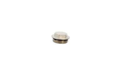 AE-FLANGED HEX CAP